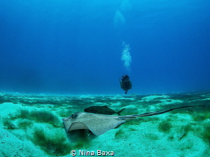 Harmony.
Olympus EM5, 8mm, natural light. by Nina Baxa 